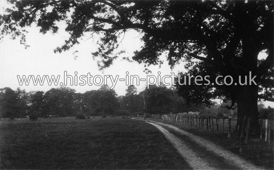 A pretty spot, Skreens Park, Roxwell, Essex. c.1930's.